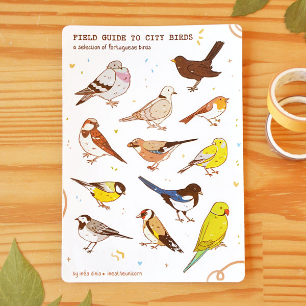 Field Guide to City Birds Sticker Sheet