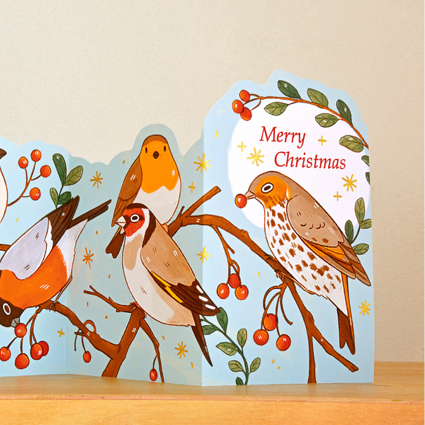 Winter Birds Concertina Postcard
